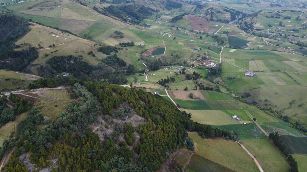 Foto: Verda Bosavita Viillapinzón - Verda Bosavita Viillapinzón (Cundinamarca), Colombia