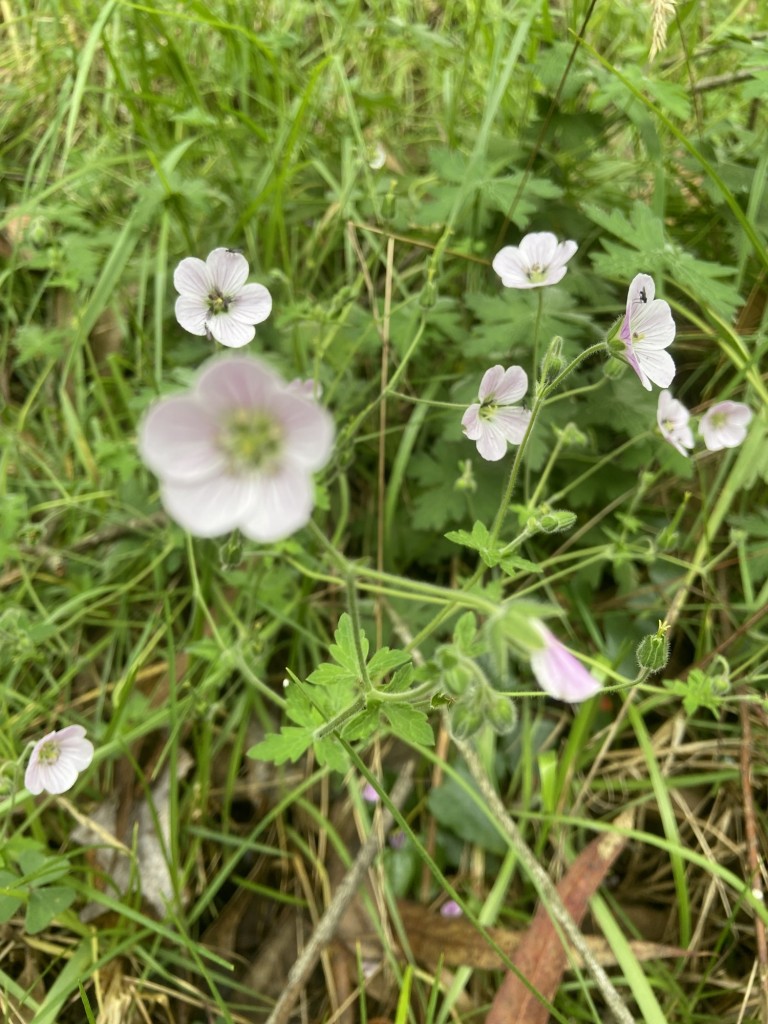Foto: Turmequé Boyacá - Turmequé Boyacá (Cundinamarca), Colombia