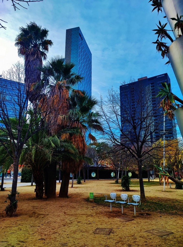 Foto: Parc del Centre del Poblenou - Barcelona (Cataluña), España