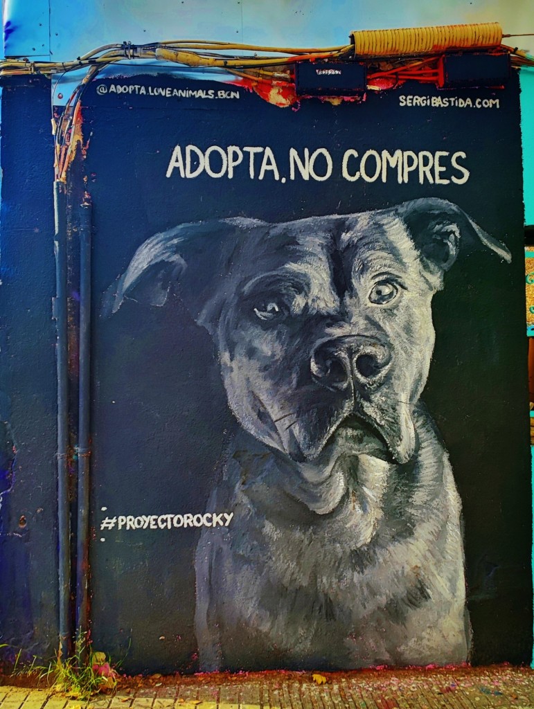 Foto: Grafitti Urbano - Barcelona (Cataluña), España