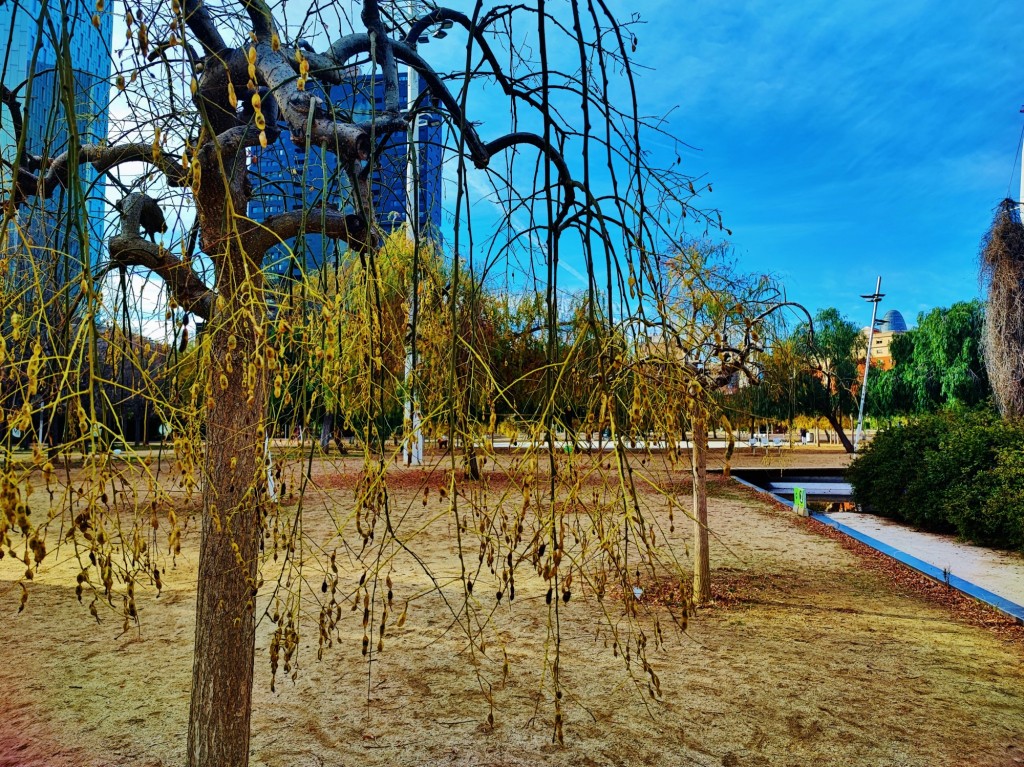 Foto: Parc del Centre del Poblenou - Barcelona (Cataluña), España