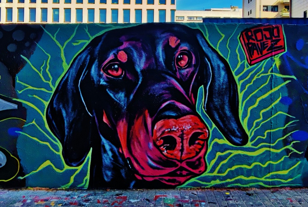 Foto: Grafitti Urbano - Barcelona (Cataluña), España