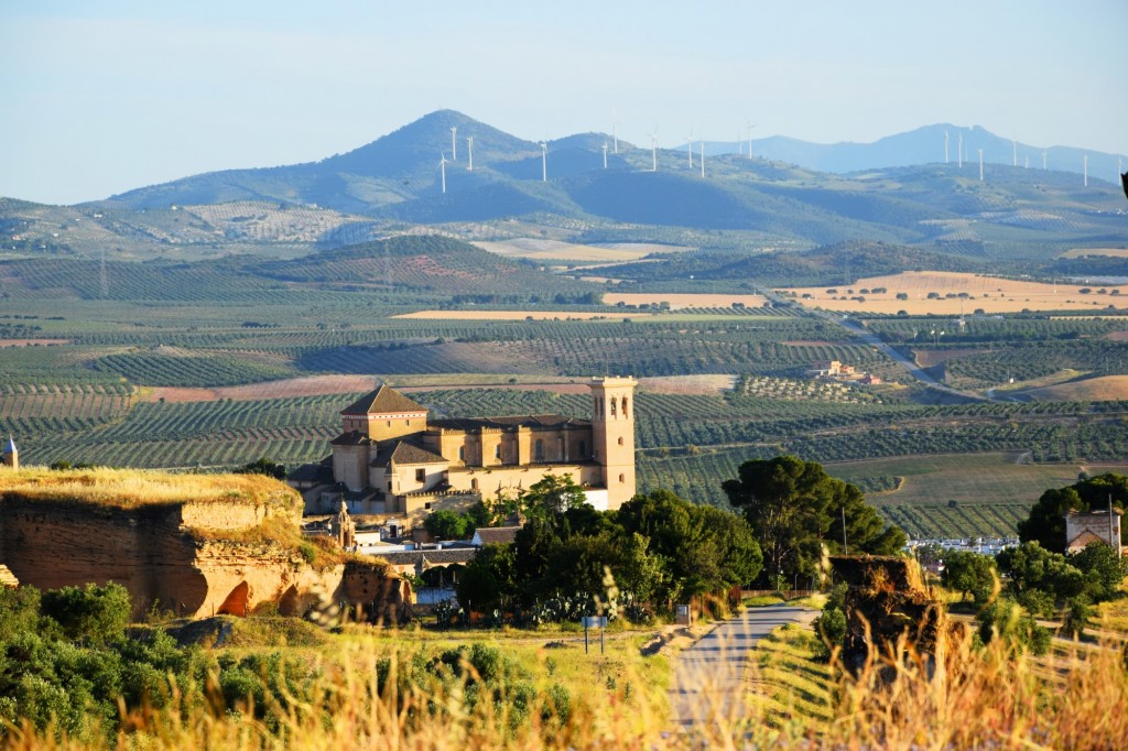 Foto: Coto de las Canteras - Osuna (Sevilla), España