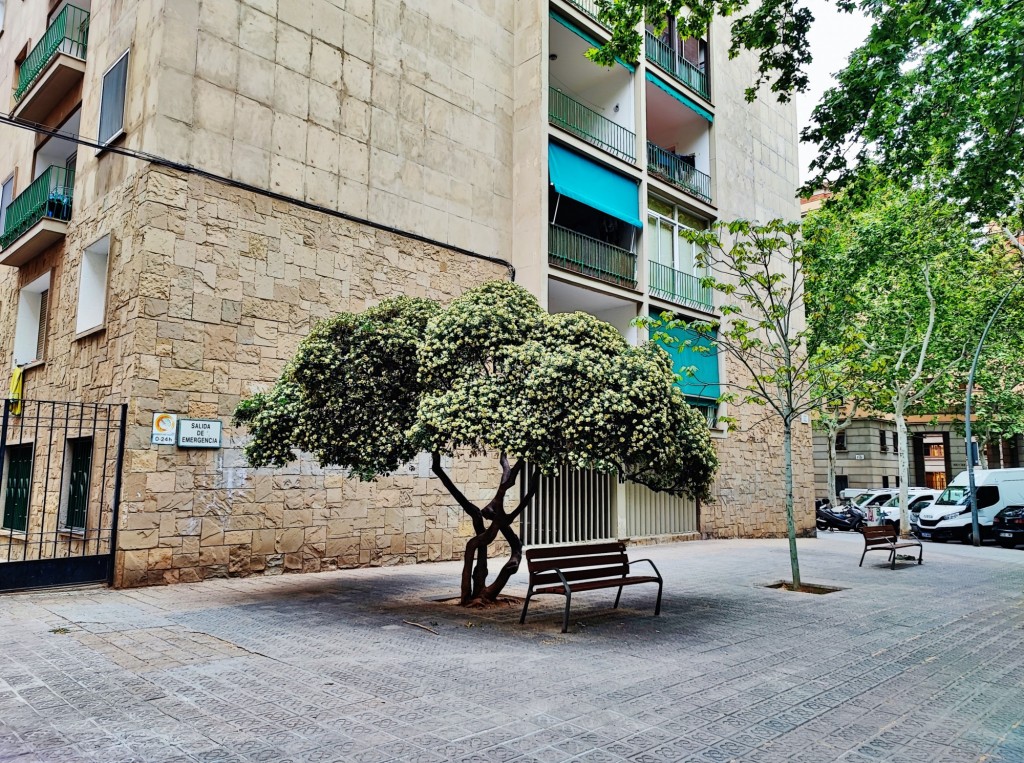 Foto: Carrer del Treball - Barcelona (Cataluña), España