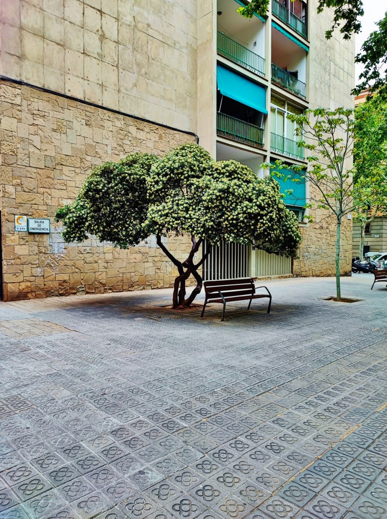 Foto: Carrer del Treball - Barcelona (Cataluña), España