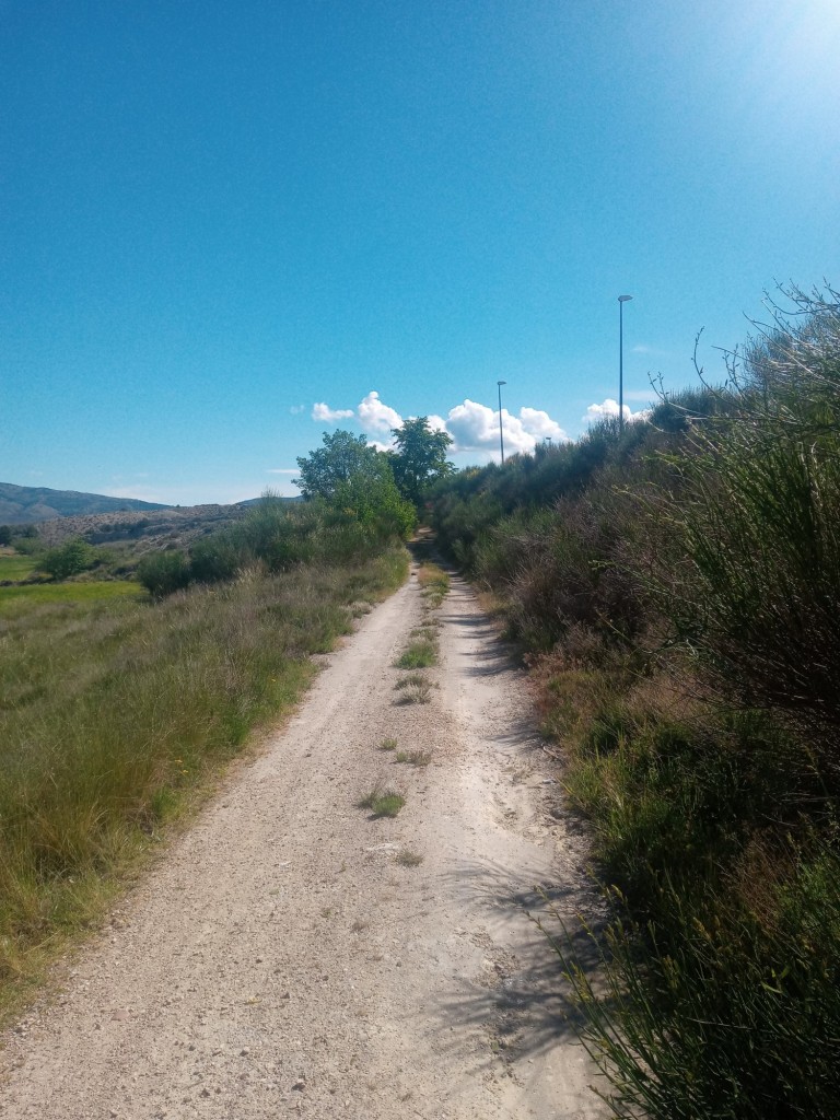 Foto: Camino de servicio de la Autovia A-2 - Calatayud (Zaragoza), España