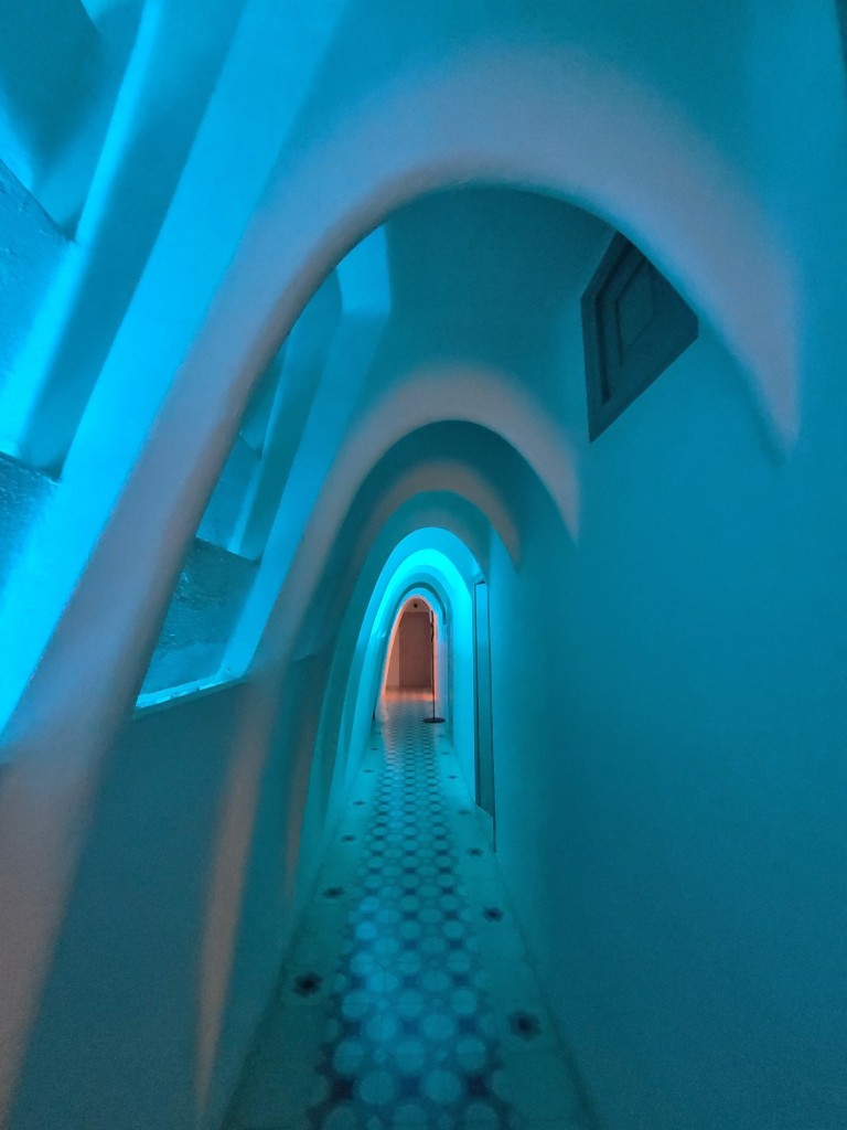 Foto: Casa Batllò - Barcelona (Cataluña), España