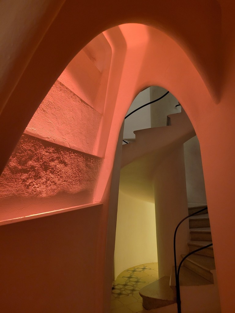 Foto: Casa Batllò - Barcelona (Cataluña), España