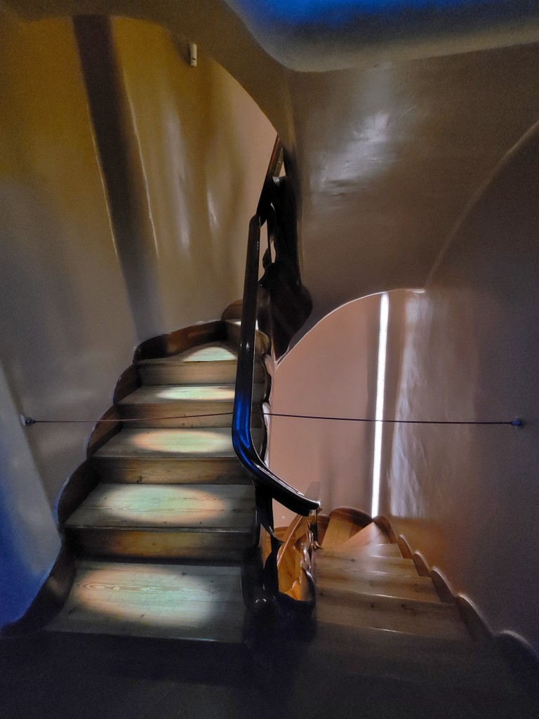 Foto: Casa Batllò - Barcelona (Cataluña), España