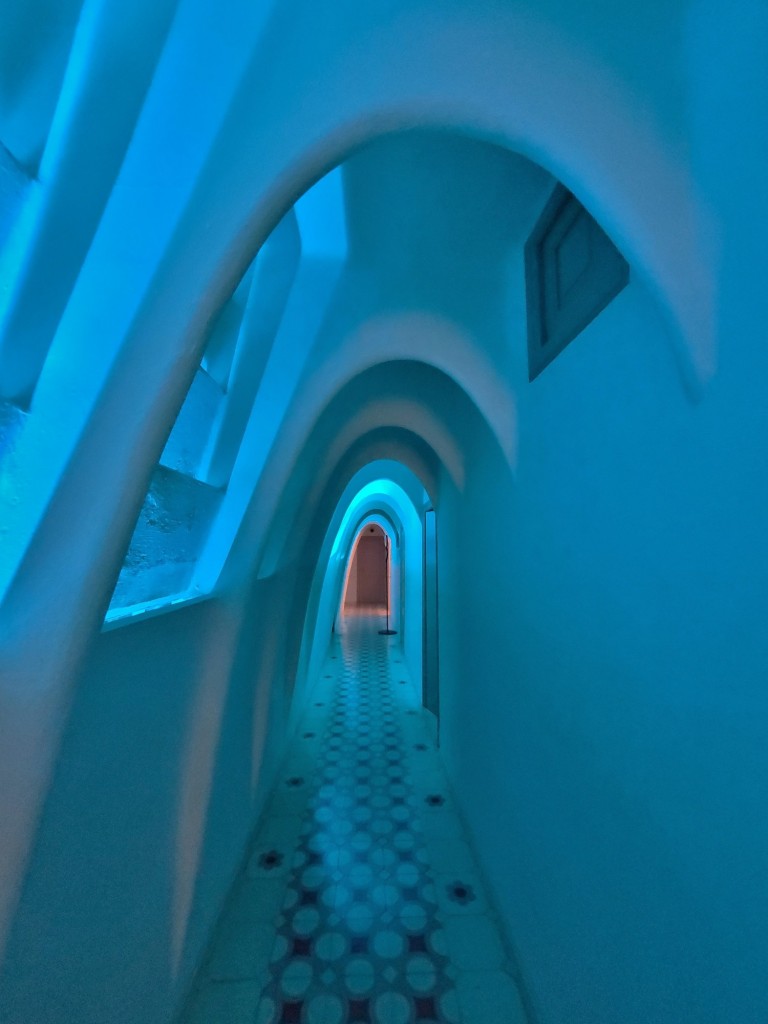 Foto: Casa Batllò - Barcelona (Cataluña), España