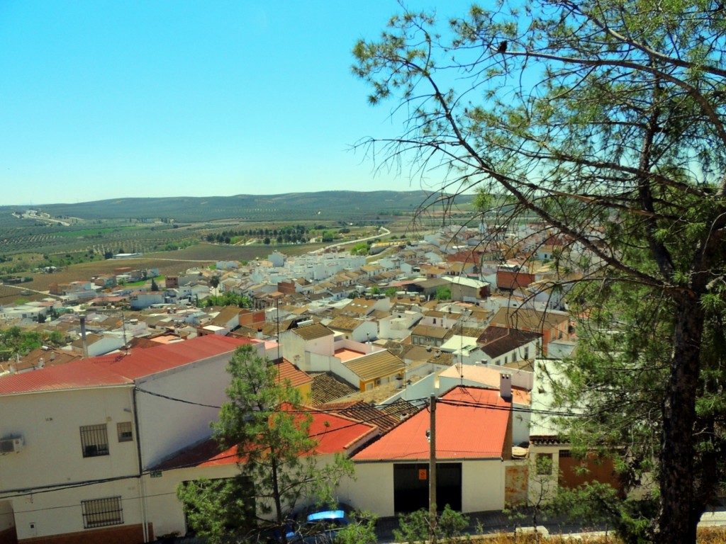 Foto: Calle de Colón - Monturque (Córdoba), España
