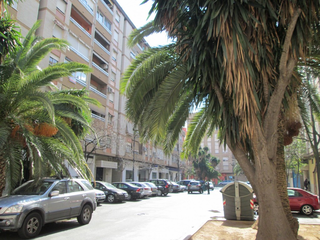 Foto: Calle de la Ciudat de Bolonya - Valencia (València), España