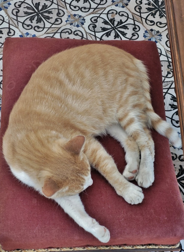 Foto: Villa Rufolo - Ravello (Campania), Italia