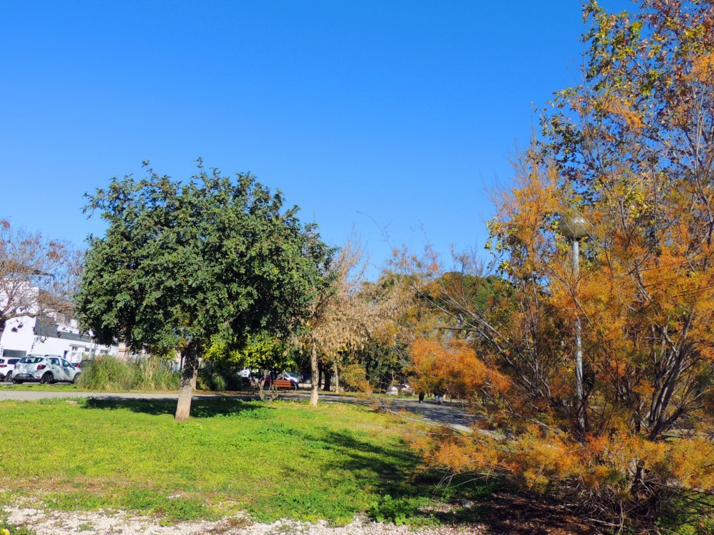 Foto: Parque de la Pita - Jerez de la Frontera (Cádiz), España