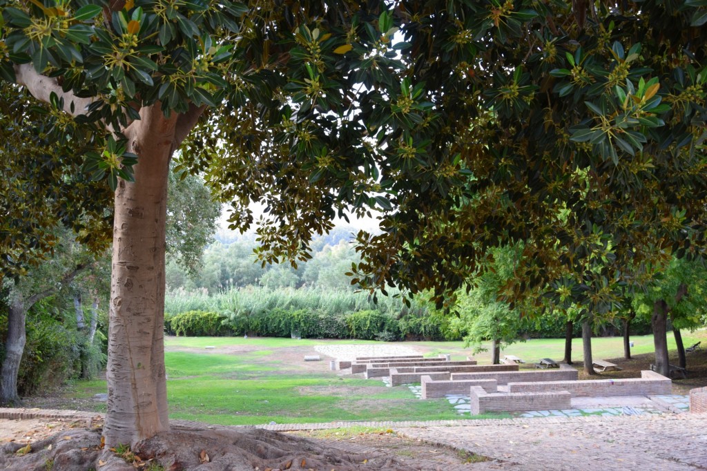 Foto: Zonas de esparcimientos - Aznalcázar (Sevilla), España