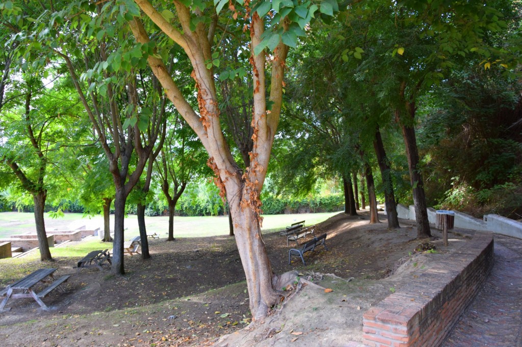 Foto: Parque de la Fuente - Aznalcázar (Sevilla), España