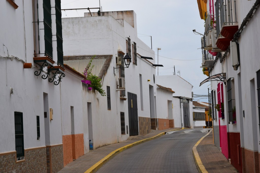 Foto: Calle Correlejas - Aznalcázar (Sevilla), España