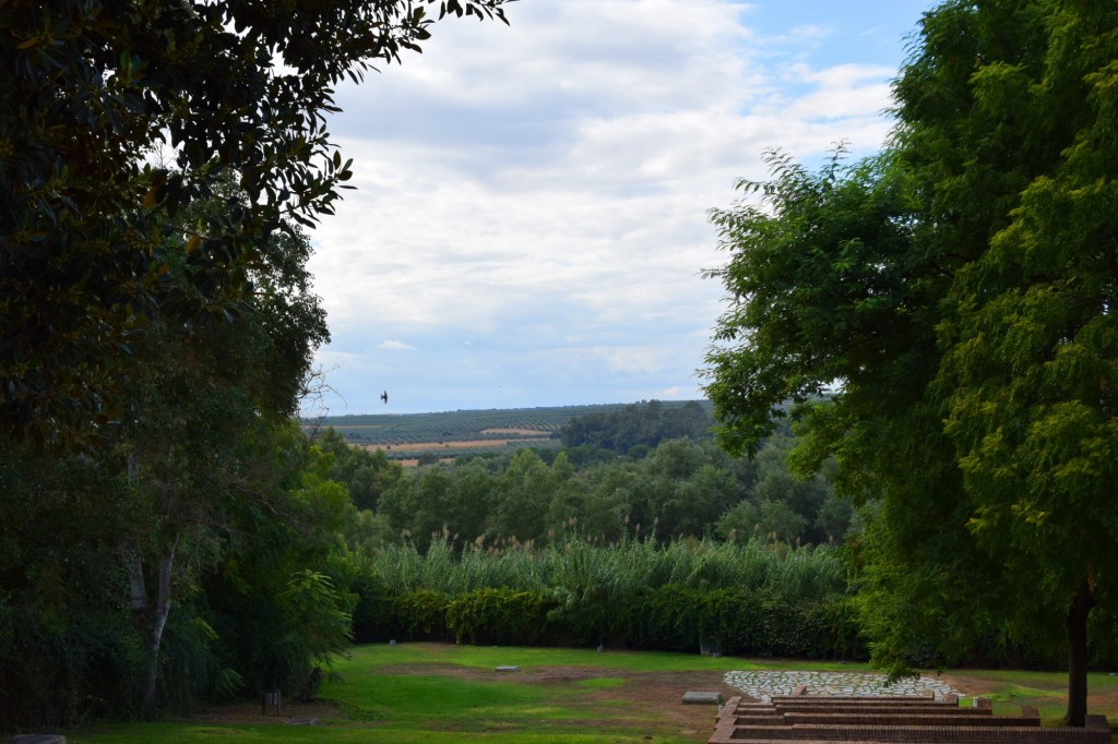 Foto: Vistas al Guadiamar - Aznalcázar (Sevilla), España