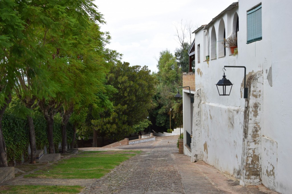 Foto: Bajada a la Fuente - Aznalcázar (Sevilla), España