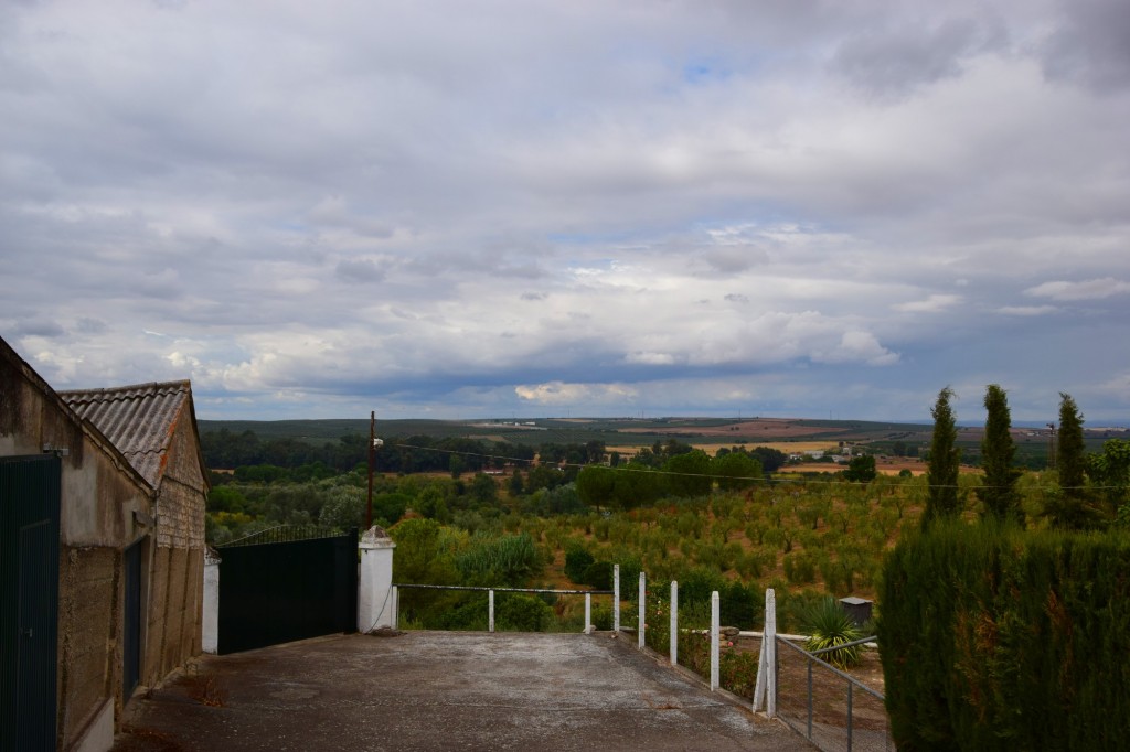 Foto: Mirador del Río - Aznalcázar (Sevilla), España