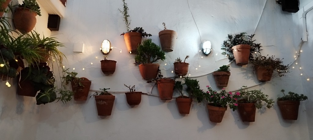Foto: Maceteros en Pizzería El Horno - Conil de la Frontera (Cádiz), España