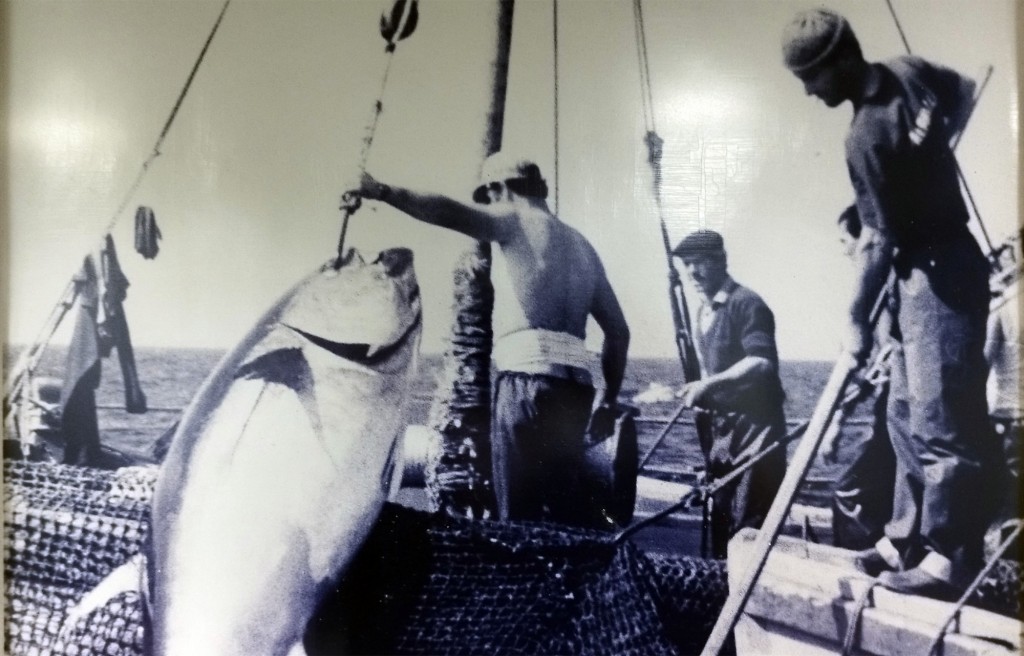 Foto: Almadraba -Años 60 - Conil de la Frontera (Cádiz), España