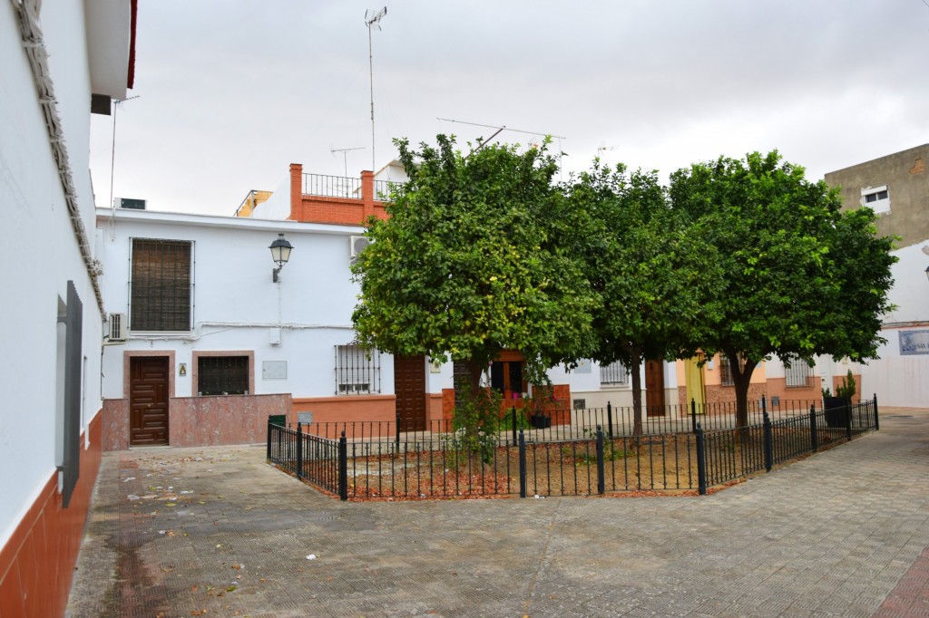 Foto: Plaza Virgen de la Concepción - Sanlucar la Mayor (Sevilla), España