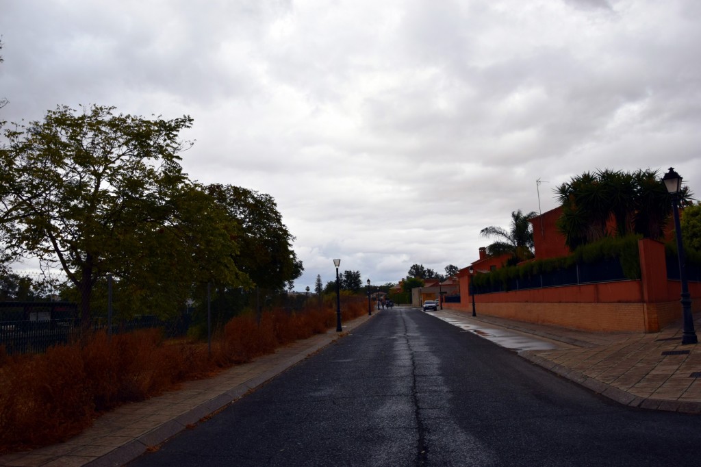 Foto: Avenida del Ferrocarril - Sanlucar la Mayor (Sevilla), España