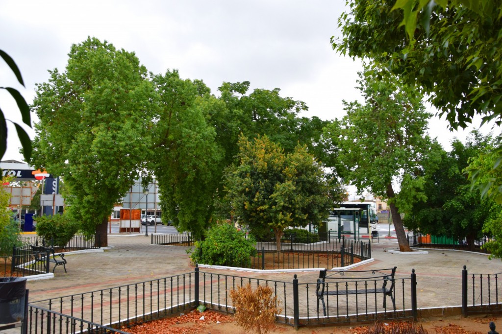 Foto: Glorieta de la Concordia - Sanlucar la Mayor (Sevilla), España