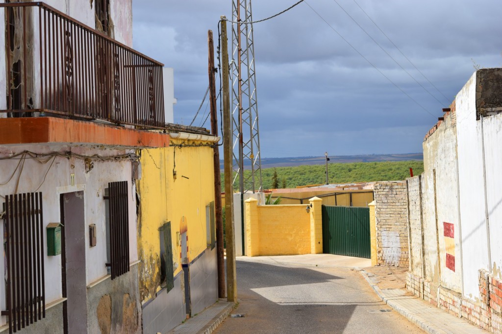Foto: Camino de los Barreros - Sanlucar la Mayor (Sevilla), España