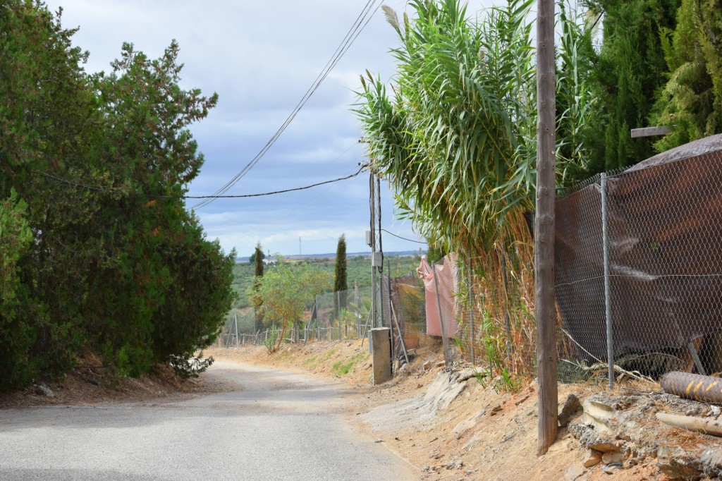 Foto: Los Barreros - Sanlucar la Mayor (Sevilla), España