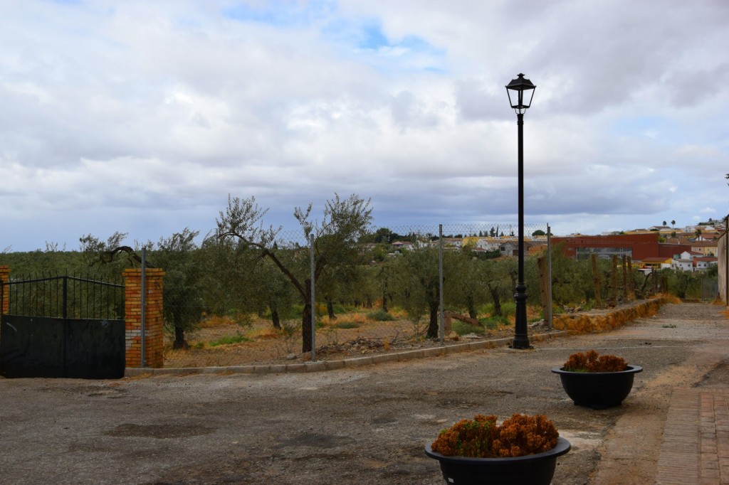 Foto: Camino Apostol San Pedro - Sanlucar la Mayor (Sevilla), España