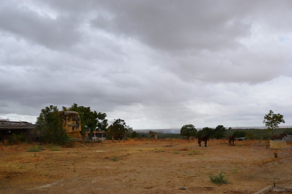 Foto de Sanlucar la Mayor (Sevilla), España