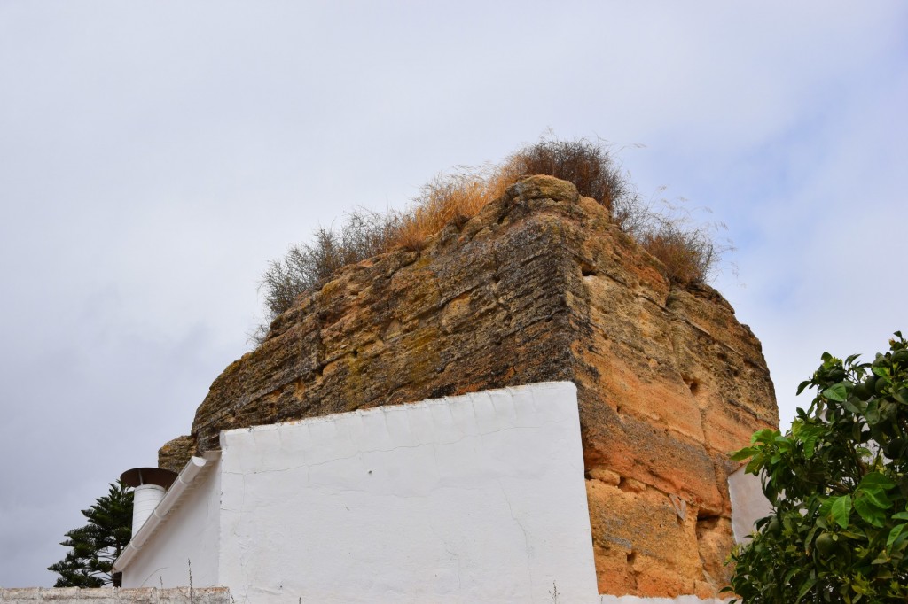 Foto: Parte de antiguas murallas - Sanlucar la Mayor (Sevilla), España