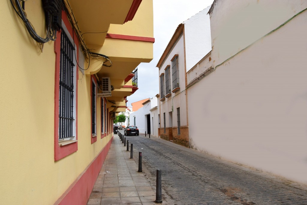 Foto: Calle Teniente Morillo - Sanlucar la Mayor (Sevilla), España