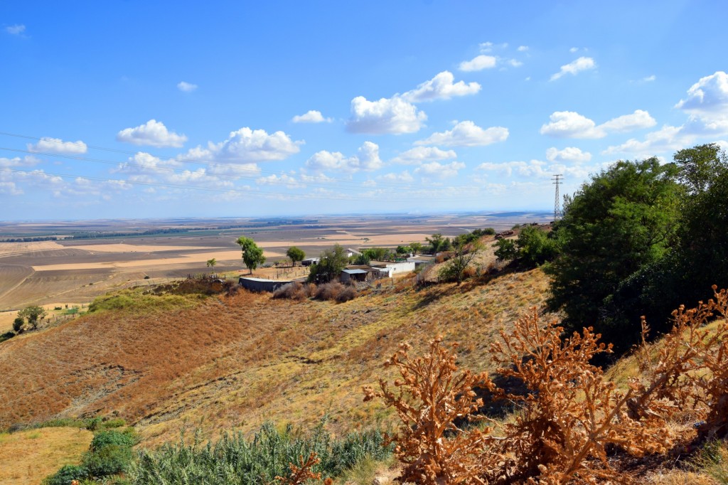Foto de Carmona (Sevilla), España