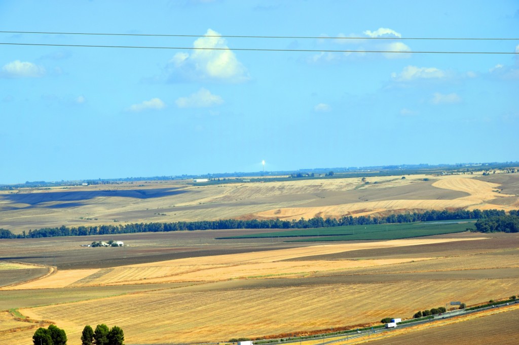 Foto de Carmona (Sevilla), España