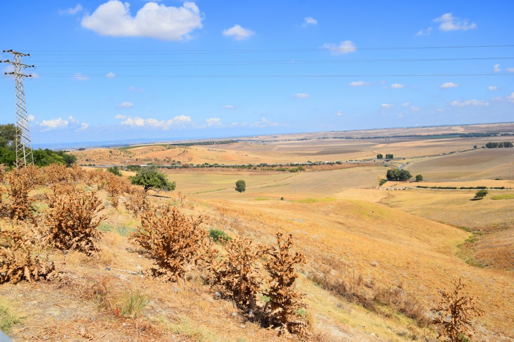 Foto de Carmona (Sevilla), España