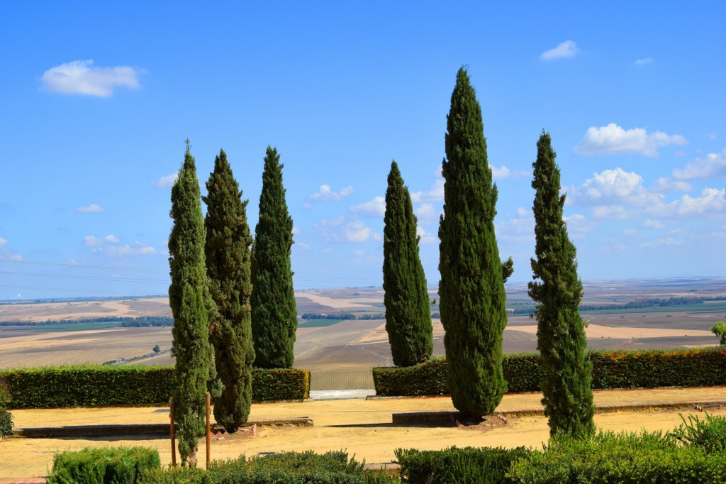 Foto de Carmona (Sevilla), España