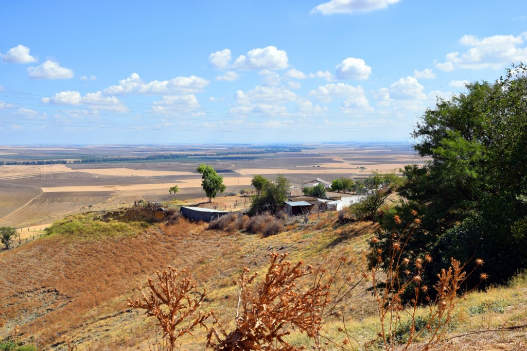 Foto de Carmona (Sevilla), España