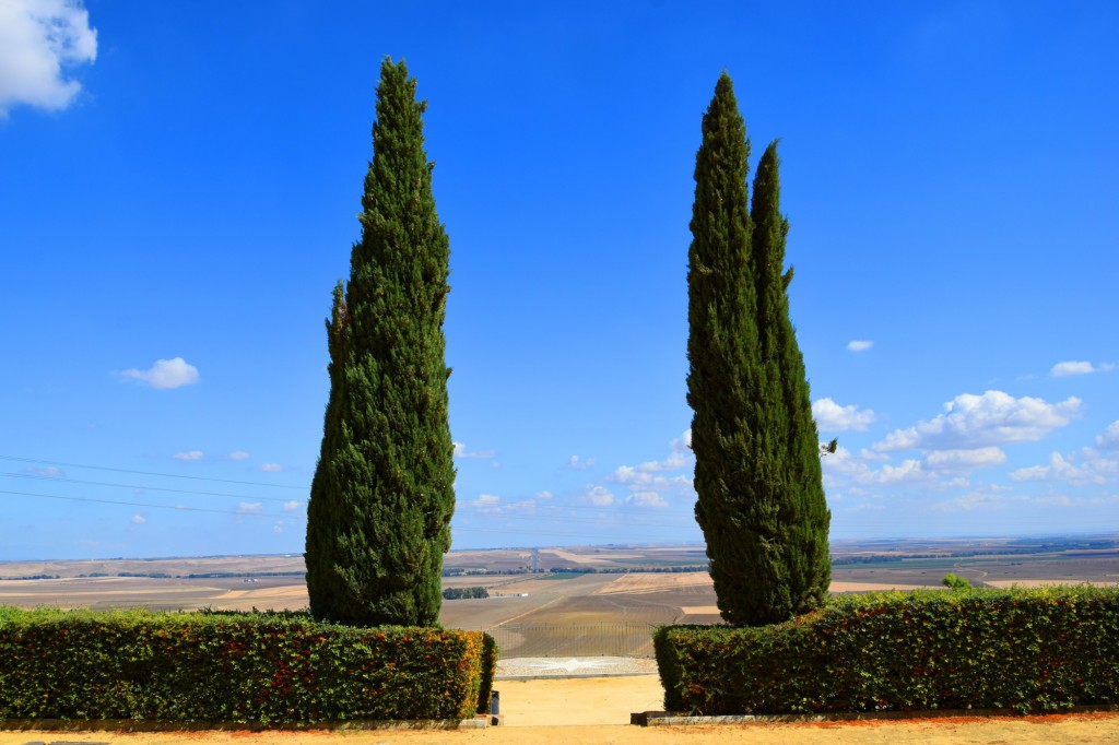 Foto de Carmona (Sevilla), España