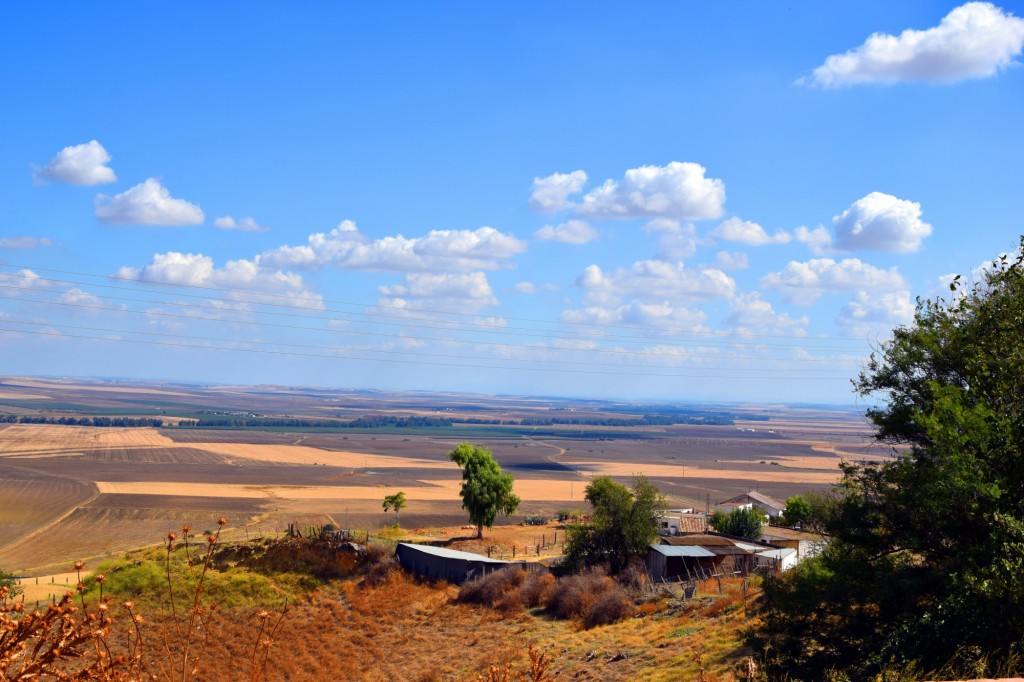 Foto de Carmona (Sevilla), España