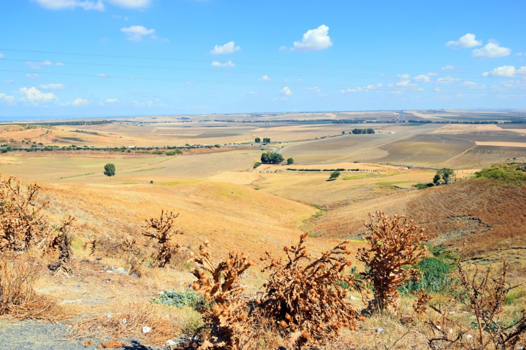 Foto de Carmona (Sevilla), España