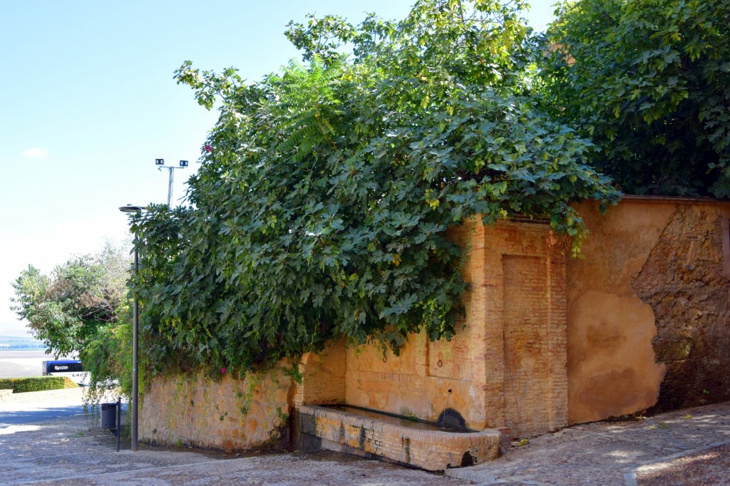 Foto de Carmona (Sevilla), España