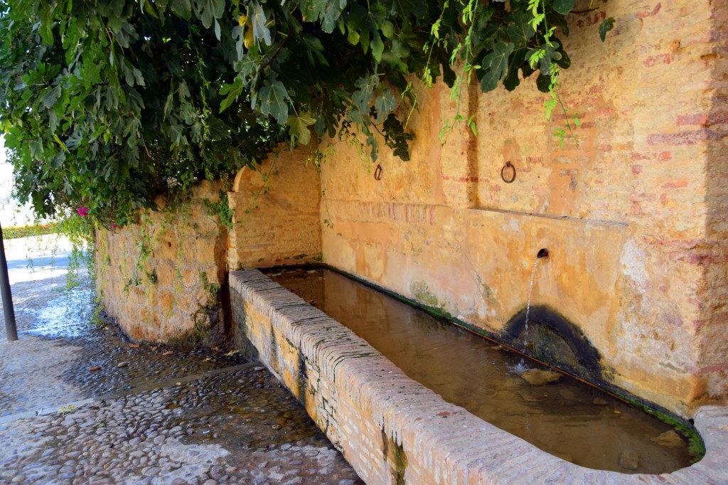 Foto de Carmona (Sevilla), España