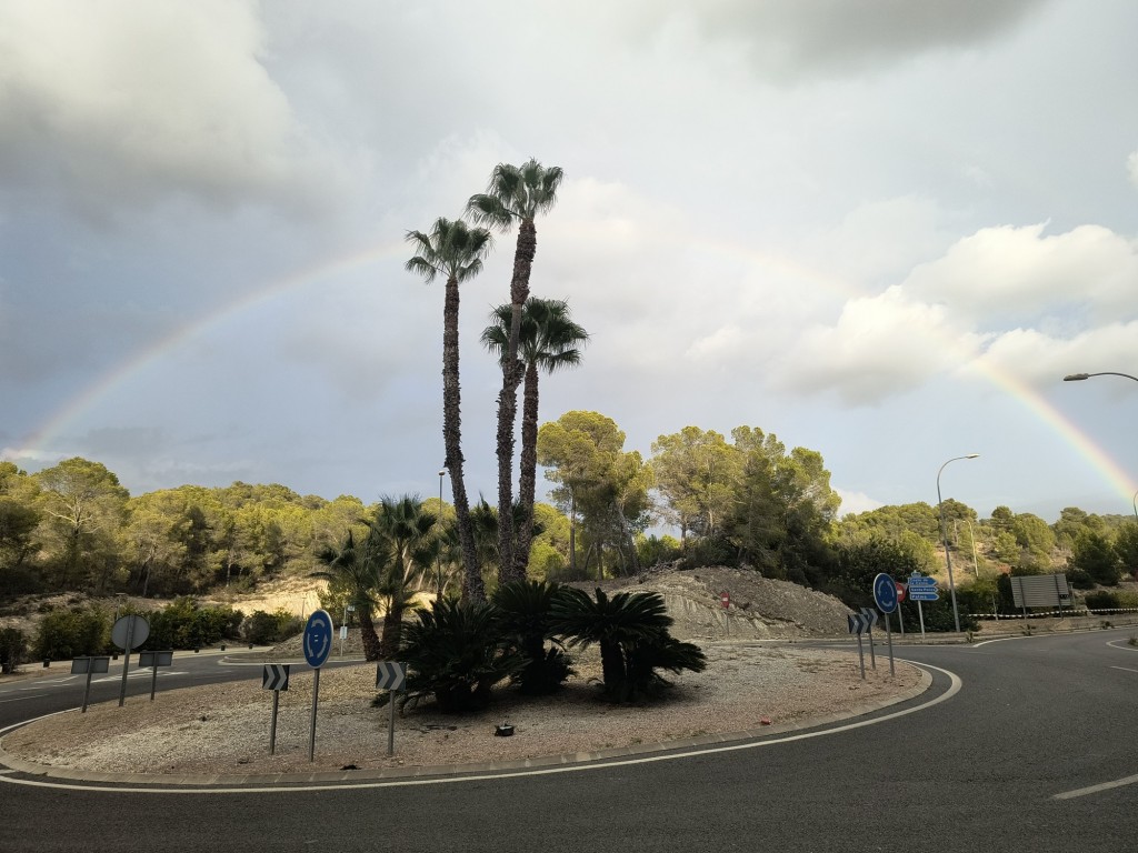 Foto: Palmeras bajo el arcoiris - Paguera (Illes Balears), España