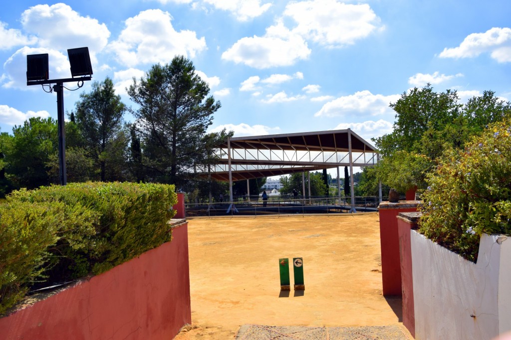 Foto de Carmona (Sevilla), España