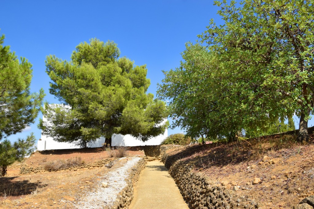 Foto de Carmona (Sevilla), España
