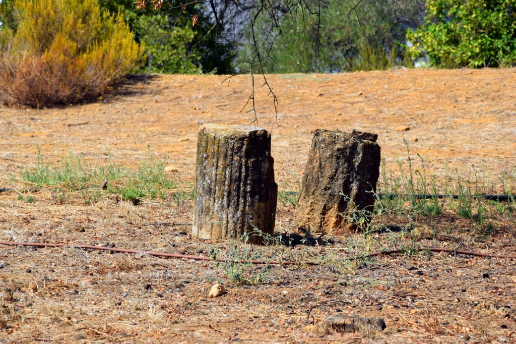 Foto de Carmona (Sevilla), España