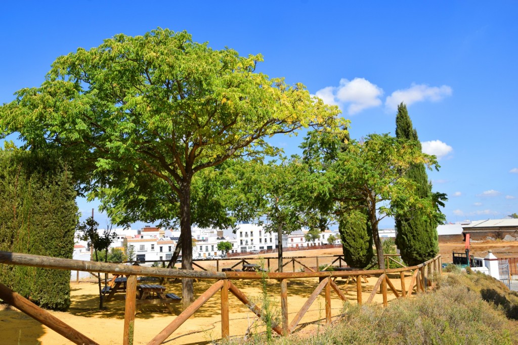 Foto de Carmona (Sevilla), España